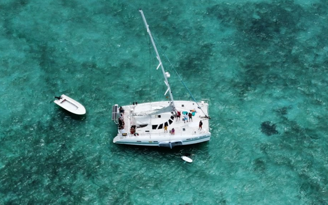 Benitiers Island & Crystal Rocks Catamaran Tour