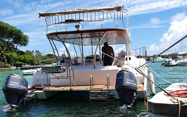 Ile aux Cerfs Package - Cataspeed