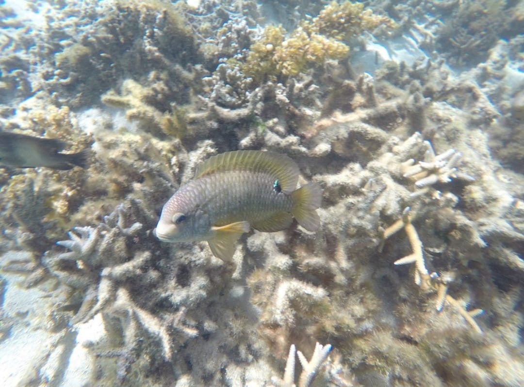 South-East Islands Tour Gallery Image 6
