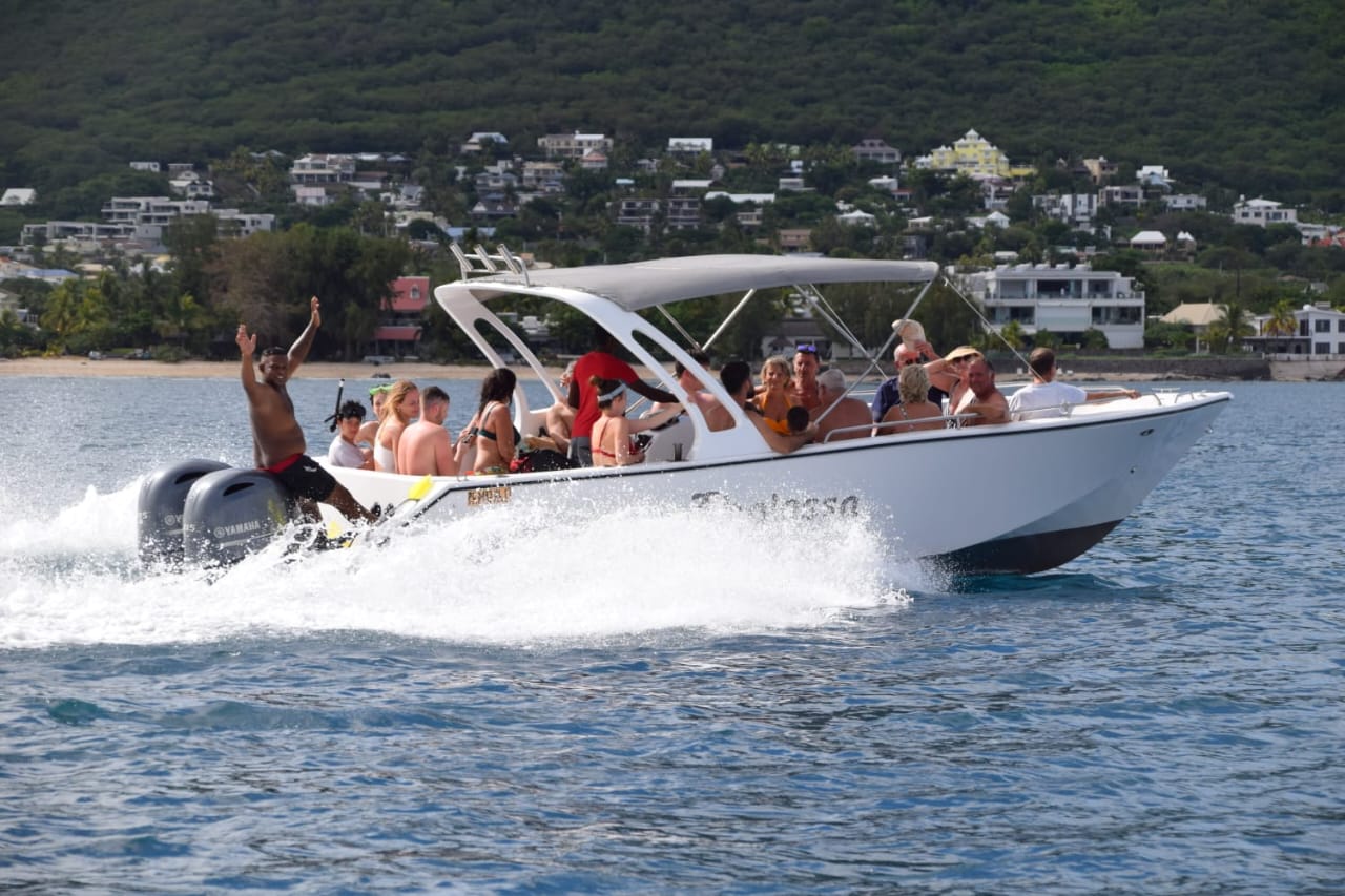 Dolphin Watching