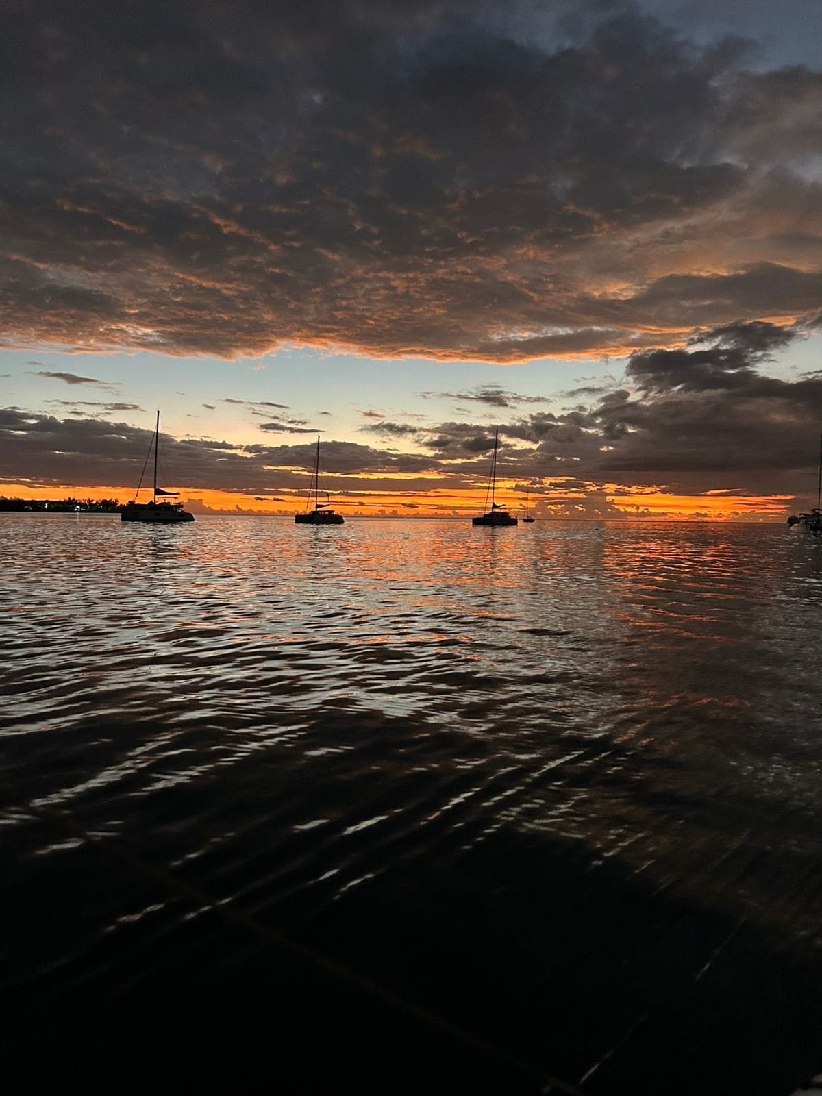 Sunset Cruise Gallery Image 6